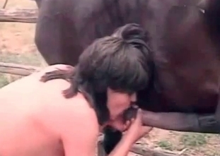She is masturbating a boner of this stallion